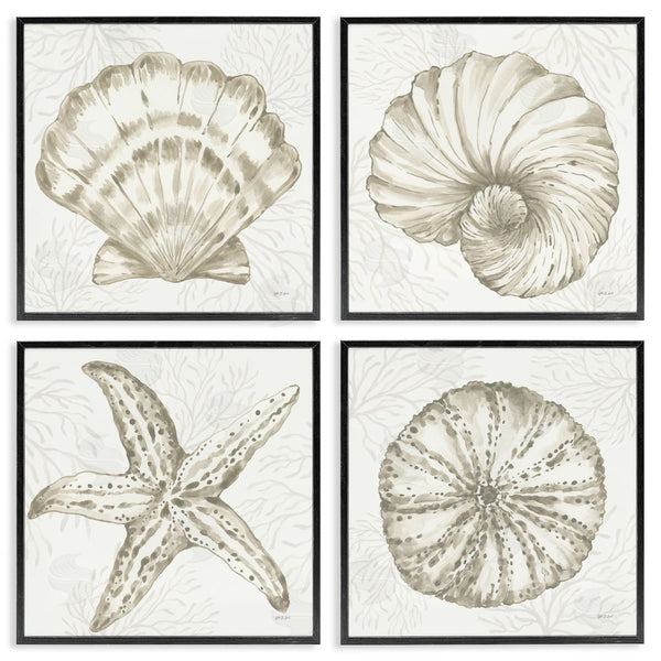 Stupell Industries Yvette St. Amant | Neutral Coastal Reef Shells Wall Art