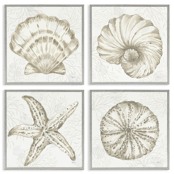 Stupell Industries Yvette St. Amant | Neutral Coastal Reef Shells Wall Art