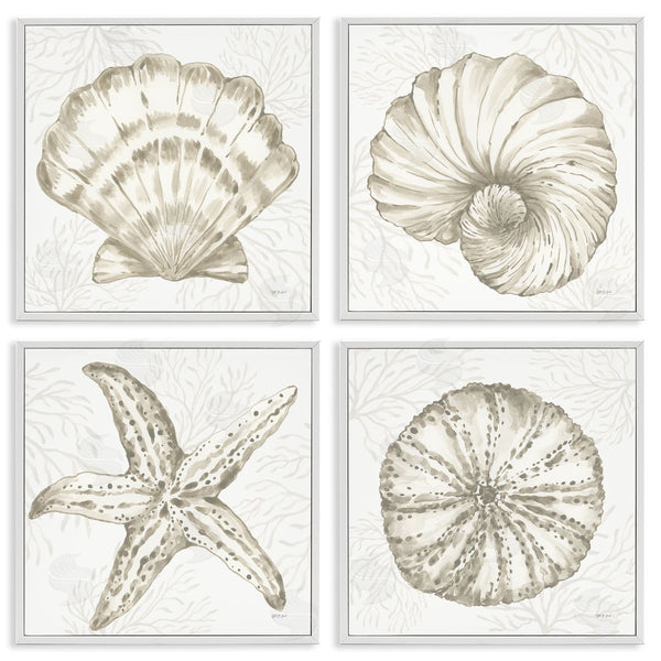 Stupell Industries Yvette St. Amant | Neutral Coastal Reef Shells Wall Art
