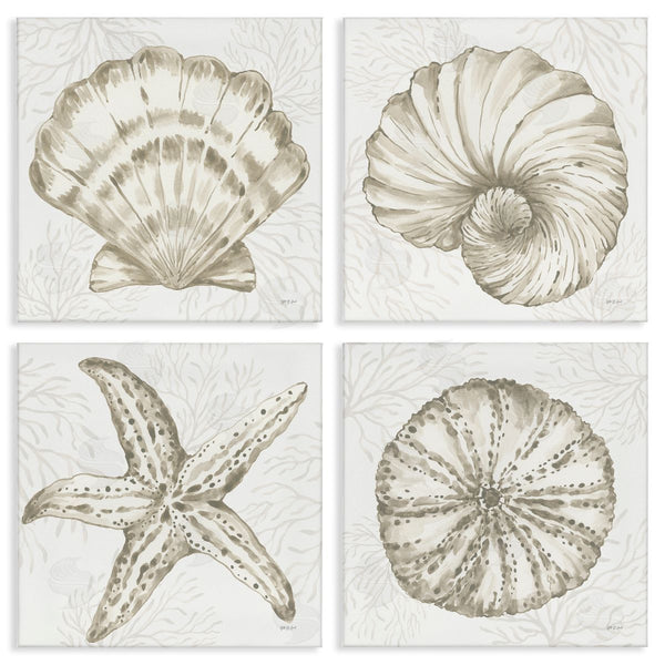 stupell industries Yvette St. Amant | Neutral Coastal Reef Shells Wall Art