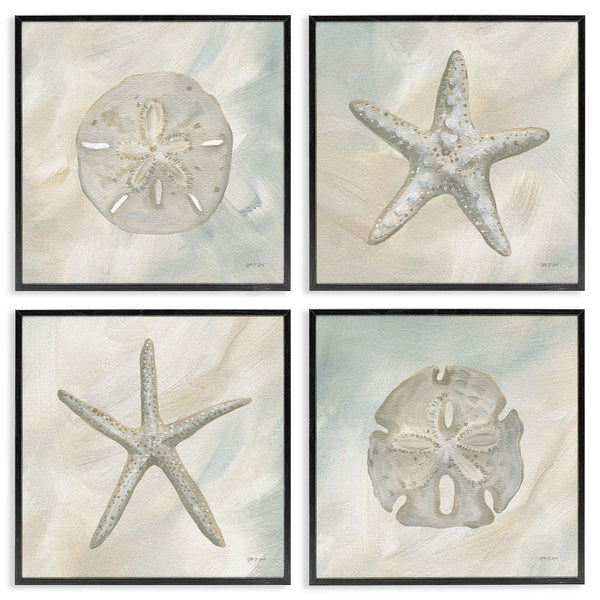 Stupell Industries Yvette St. Amant | Neutral Starfish & Sand Dollars Wall Art