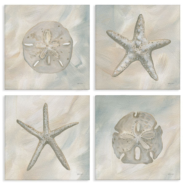 stupell industries Yvette St. Amant | Neutral Starfish & Sand Dollars Wall Art
