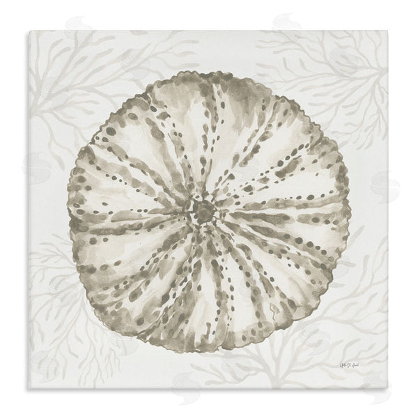 stupell industries Yvette St. Amant | Sea Urchin & Neutral Coral