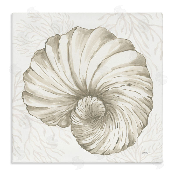 stupell industries Yvette St. Amant | Spiral Shell & Neutral Coral