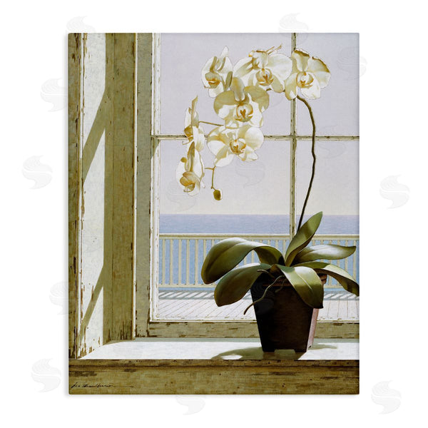 stupell industries Zhen-Huan Lu | White Orchid on Window Sill