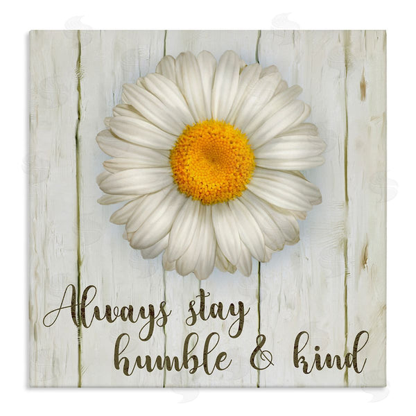 stupell industries Ziwei Li | Always Stay Humble Daisy