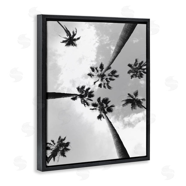 Stupell Industries Ziwei Li | Black And White Sky Through Palms