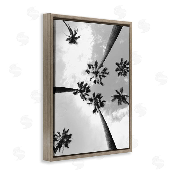 Stupell Industries Ziwei Li | Black And White Sky Through Palms