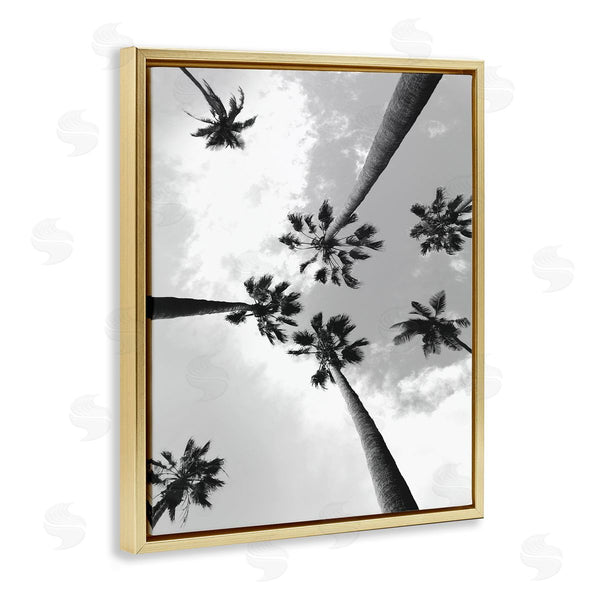 Stupell Industries Ziwei Li | Black And White Sky Through Palms