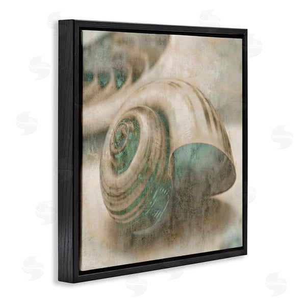 Stupell Industries Ziwei Li | Centered Sharkeye Seashell