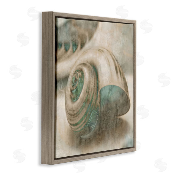 Stupell Industries Ziwei Li | Centered Sharkeye Seashell