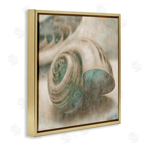 Stupell Industries Ziwei Li | Centered Sharkeye Seashell