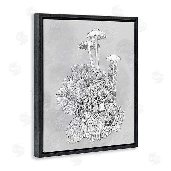 Stupell Industries Ziwei Li | Detailed Botanical Drawing Mushroom Proliferate Plant Study Wall Art