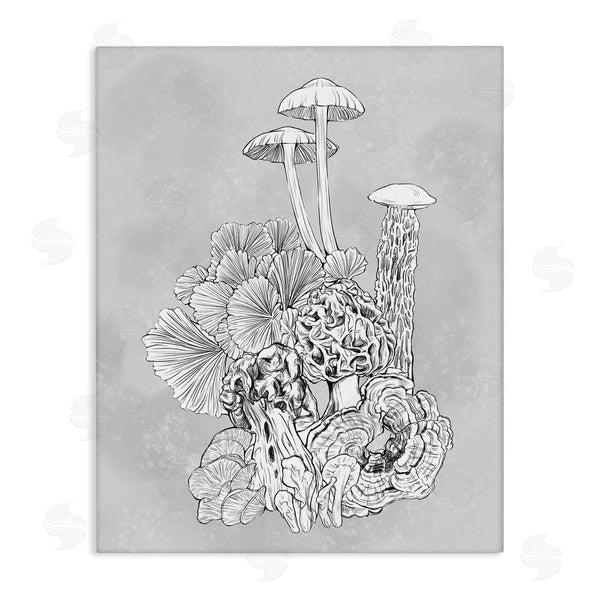 stupell industries Ziwei Li | Detailed Botanical Drawing Mushroom Proliferate Plant Study Wall Art