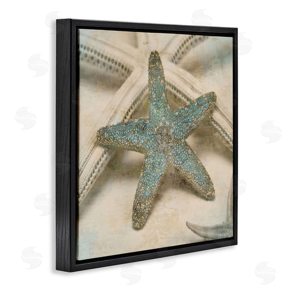 Stupell Industries Ziwei Li | Distressed Texture Starfish