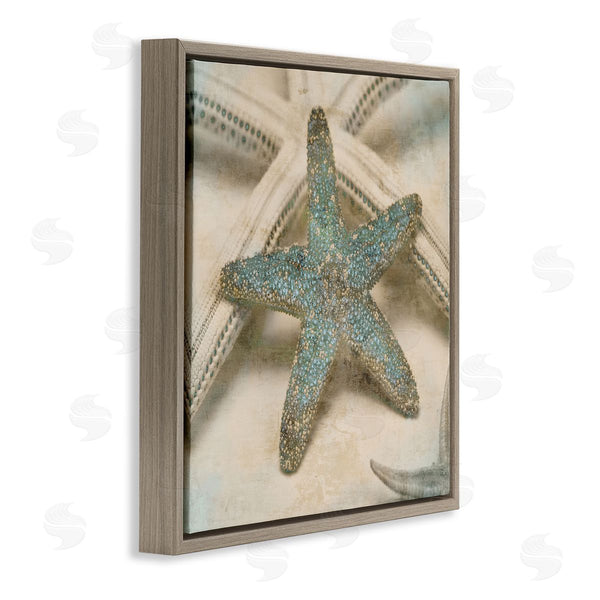 Stupell Industries Ziwei Li | Distressed Texture Starfish