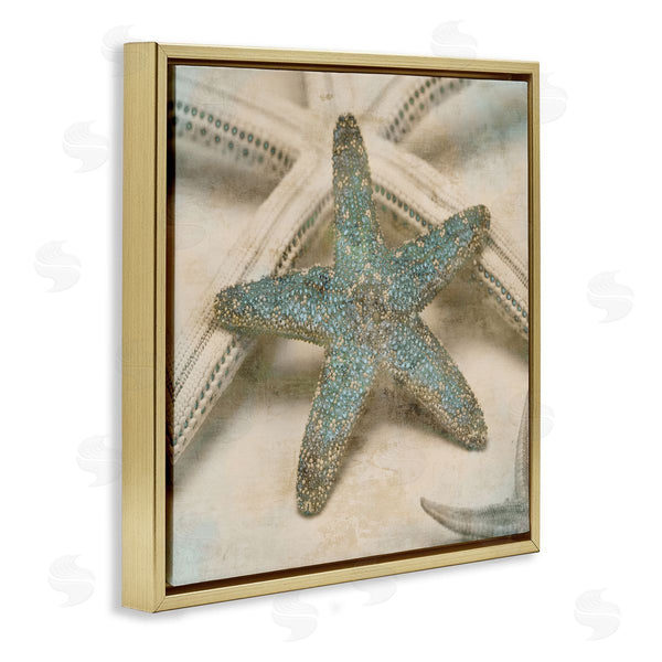 Stupell Industries Ziwei Li | Distressed Texture Starfish