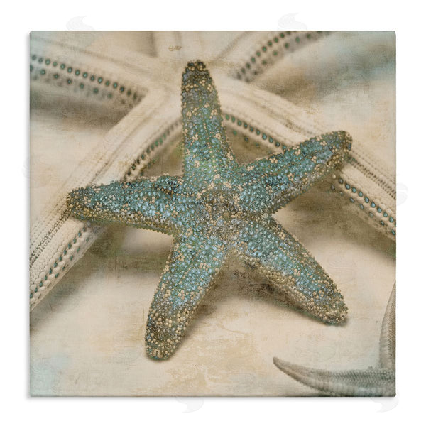 stupell industries Ziwei Li | Distressed Texture Starfish