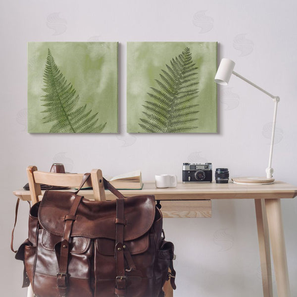 Stupell Industries Ziwei Li | Fern Sprouts Forest Nature Leaves Wall Art
