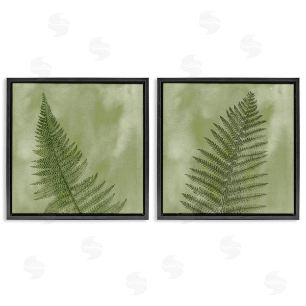Stupell Industries Ziwei Li | Fern Sprouts Forest Nature Leaves Wall Art