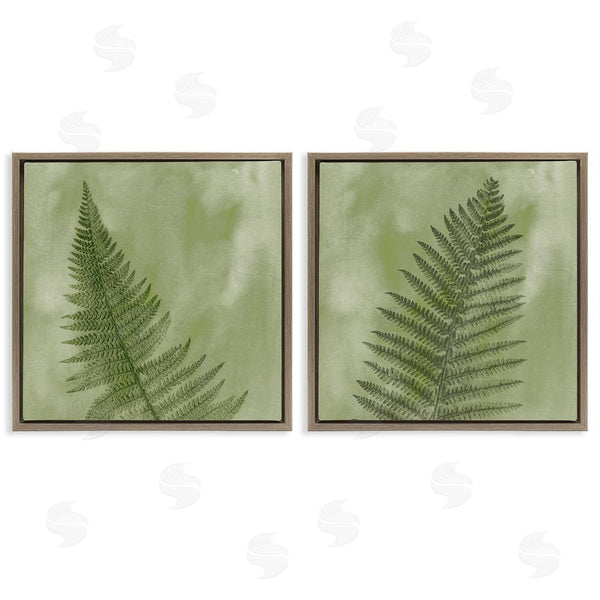 Stupell Industries Ziwei Li | Fern Sprouts Forest Nature Leaves Wall Art