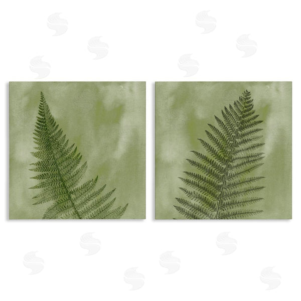 stupell industries Ziwei Li | Fern Sprouts Forest Nature Leaves Wall Art