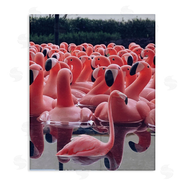 stupell industries Ziwei Li | Funny Pink Flamingo Pool