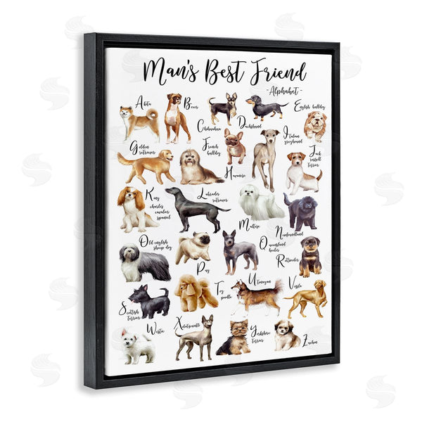Stupell Industries Ziwei Li | Man's Best Friend Alphabet Playful Dog ABC Chart Wall Art