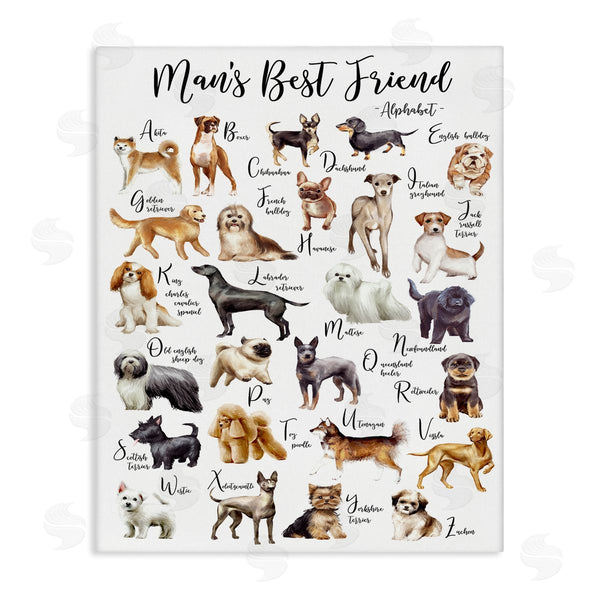 stupell industries Ziwei Li | Man's Best Friend Alphabet Playful Dog ABC Chart Wall Art