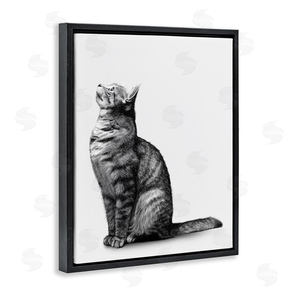 Stupell Industries Ziwei Li | Manx Cat Sitting Calmly Detailed Casual Portrait Wall Art