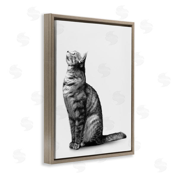 Stupell Industries Ziwei Li | Manx Cat Sitting Calmly Detailed Casual Portrait Wall Art