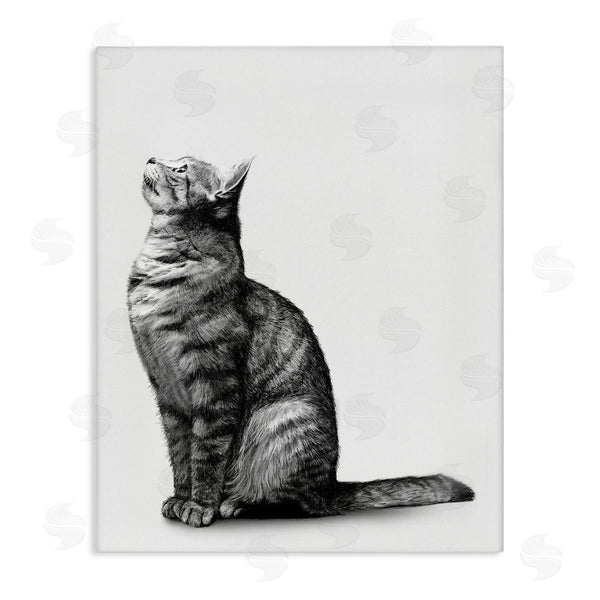 stupell industries Ziwei Li | Manx Cat Sitting Calmly Detailed Casual Portrait Wall Art