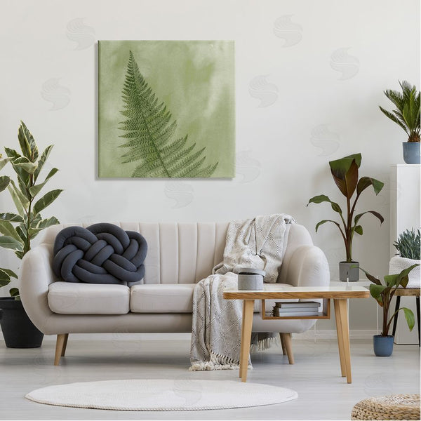 Stupell Industries Ziwei Li | Modern Fern Nature Plant Wall Art
