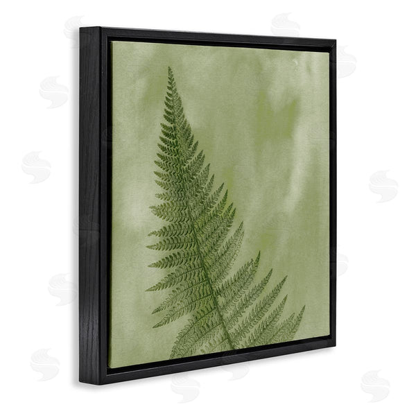 Stupell Industries Ziwei Li | Modern Fern Nature Plant Wall Art