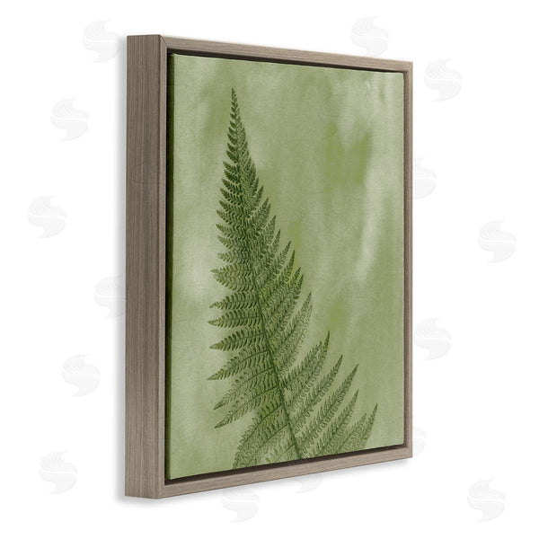 Stupell Industries Ziwei Li | Modern Fern Nature Plant Wall Art