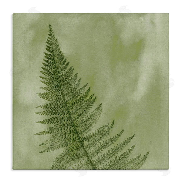 stupell industries Ziwei Li | Modern Fern Nature Plant Wall Art