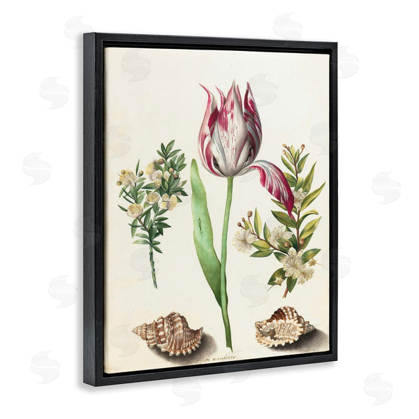 Stupell Industries Ziwei Li | Pink Tulip With Sea Shells