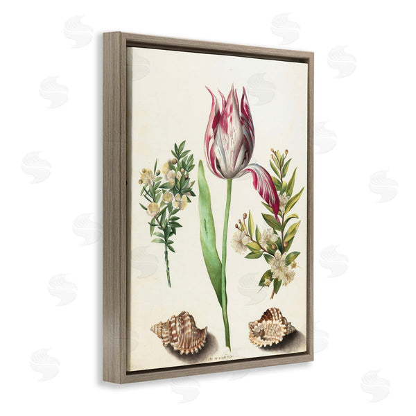 Stupell Industries Ziwei Li | Pink Tulip With Sea Shells
