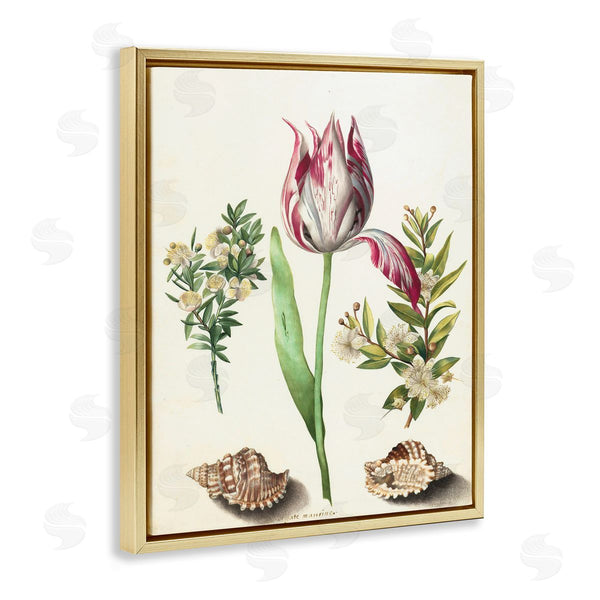 Stupell Industries Ziwei Li | Pink Tulip With Sea Shells