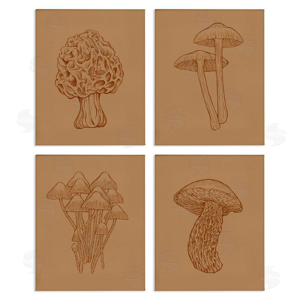 stupell industries Ziwei Li | Rustic Cottage Mushroom Sketches Wall Art