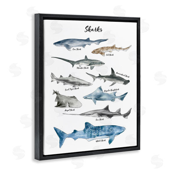 Stupell Industries Ziwei Li | Shark Chart Watercolor Marine Animals