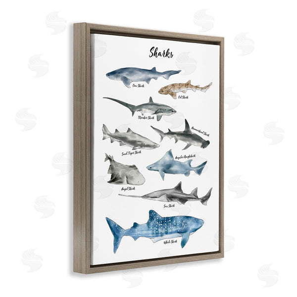 Stupell Industries Ziwei Li | Shark Chart Watercolor Marine Animals