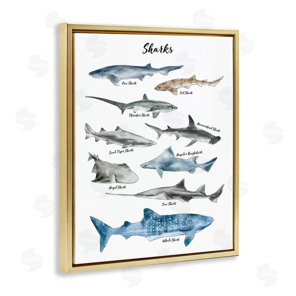 Stupell Industries Ziwei Li | Shark Chart Watercolor Marine Animals