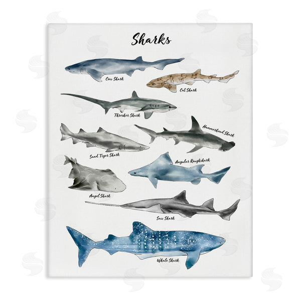 stupell industries Ziwei Li | Shark Chart Watercolor Marine Animals