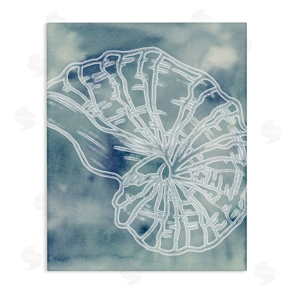 stupell industries Ziwei Li | Spiral Seashell Nautilus Sea Life Watercolor Pattern Wall Art