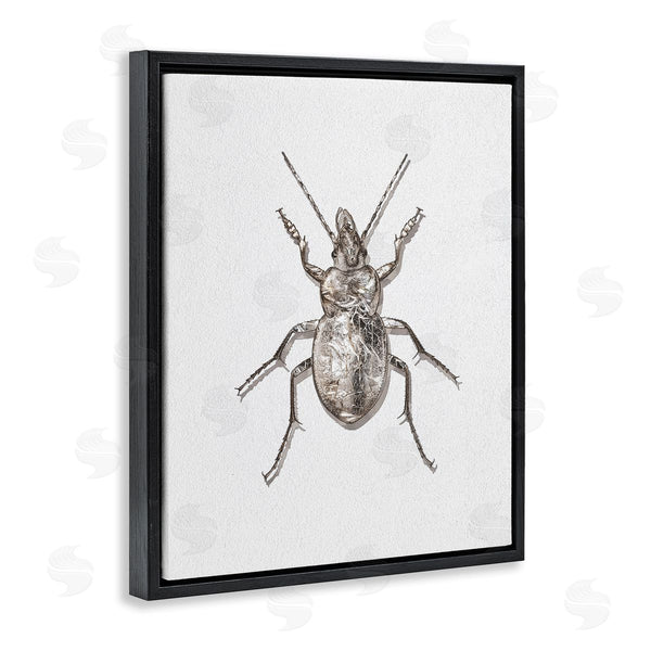 Stupell Industries Ziwei Li | Textured Beetle Minimal Off-White