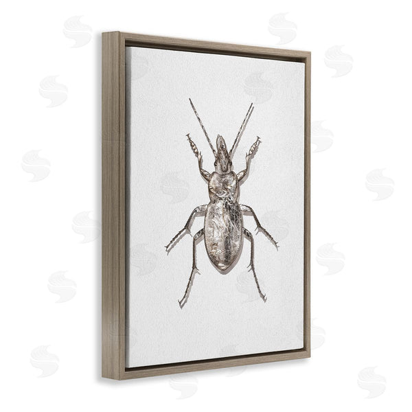 Stupell Industries Ziwei Li | Textured Beetle Minimal Off-White