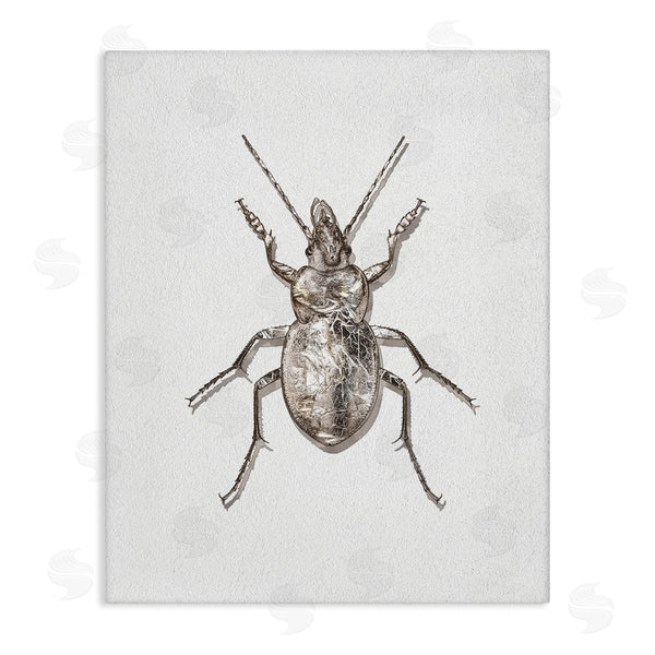 stupell industries Ziwei Li | Textured Beetle Minimal Off-White