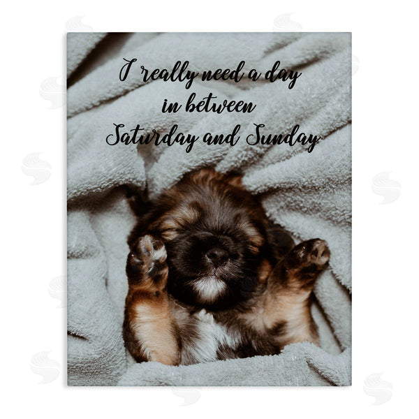 stupell industries Ziwei Li | Three Day Weekend Funny Dog