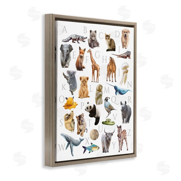 Stupell Industries Ziwei Li | Traditional ABC Alphabet Animals Of The World Wall Art